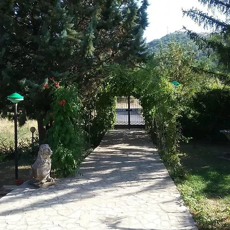 Damiani Oda ve Kahvaltı