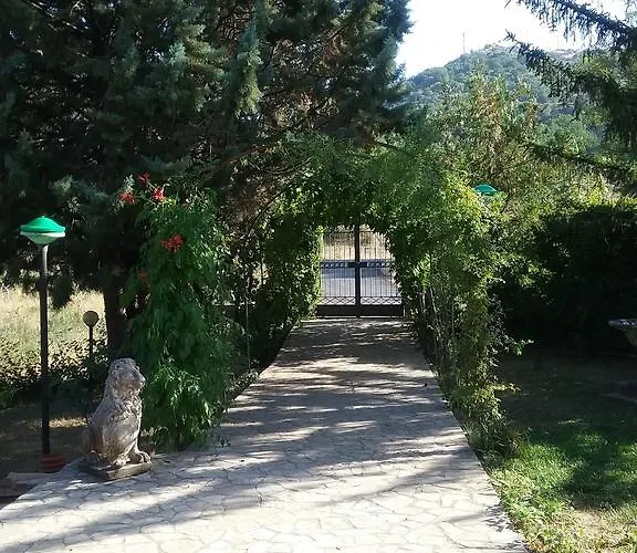 Damiani Bed & Breakfast